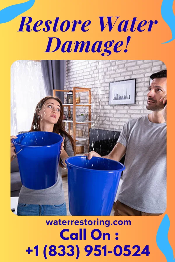 water restoration New Mitigation Solutions Brinson
