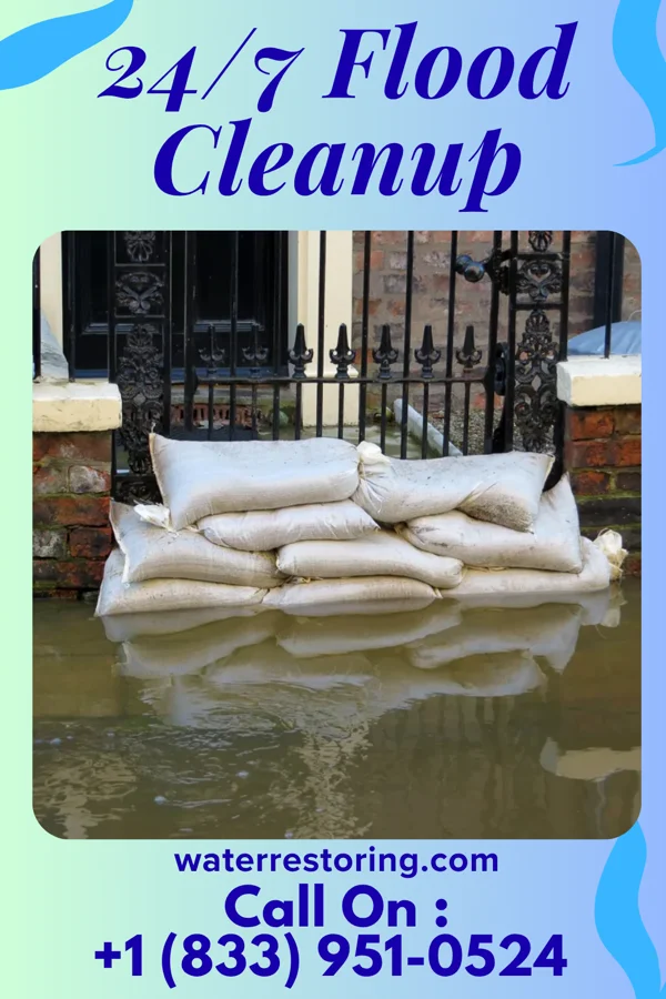 24/7 Flood Cleanup in Brinson, GA