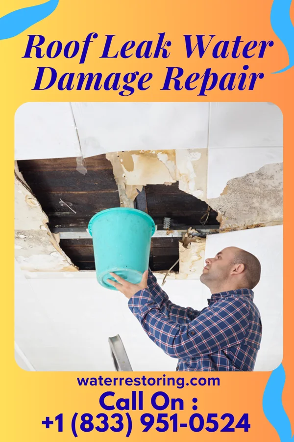 Roof Leak Water Damage Repair in Brinson, GA